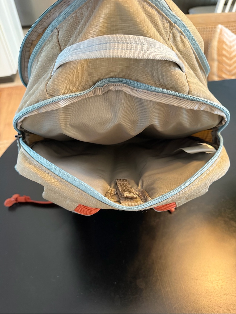 Patagonia Backpack - Picture 6 of 6